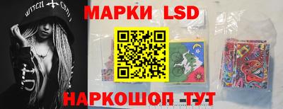 индика Гатчина