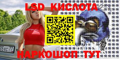 индика Гатчина