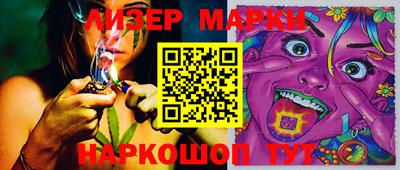 шишки Апшеронск