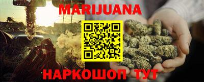индика Гатчина