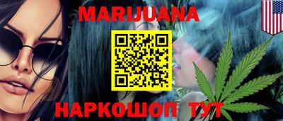 индика Гатчина