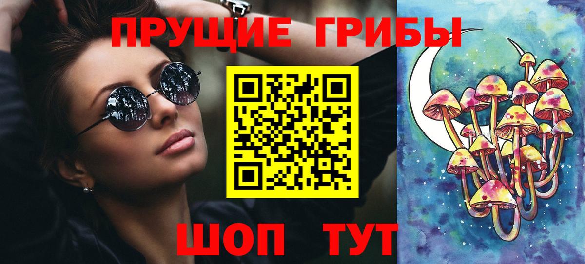 Галлюциногенные грибы Psilocybine cubensis Нижнеудинск